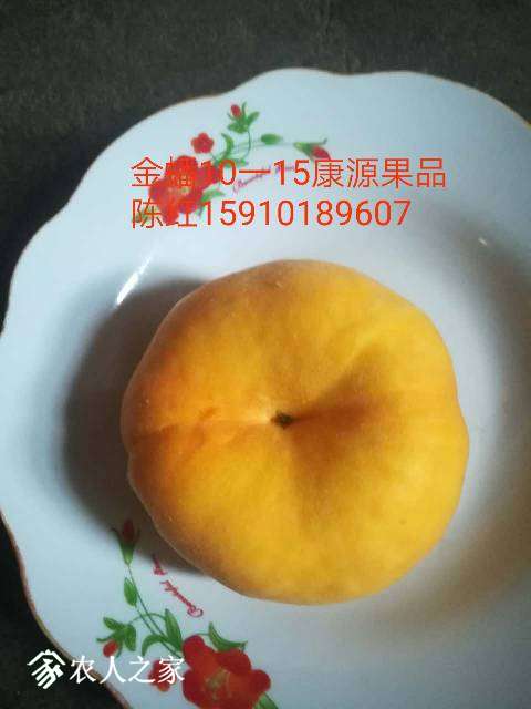 150147v8om42m7n288kkgm.jpg