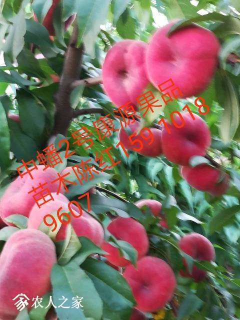 150148eeme06a0tzaa6ctg.jpg