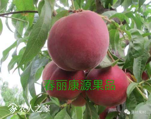 150715l54hzk6lt9cddhn4.jpg