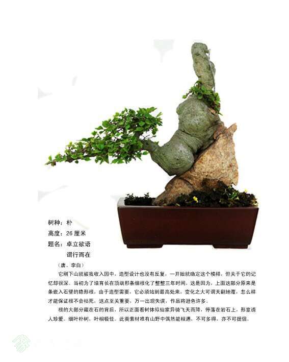 234141gtutkx70krmm7rp6.jpg