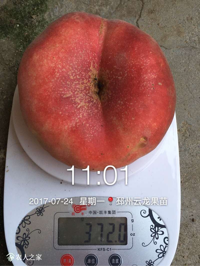 060032mqxn2tn84tuufzhy.jpg