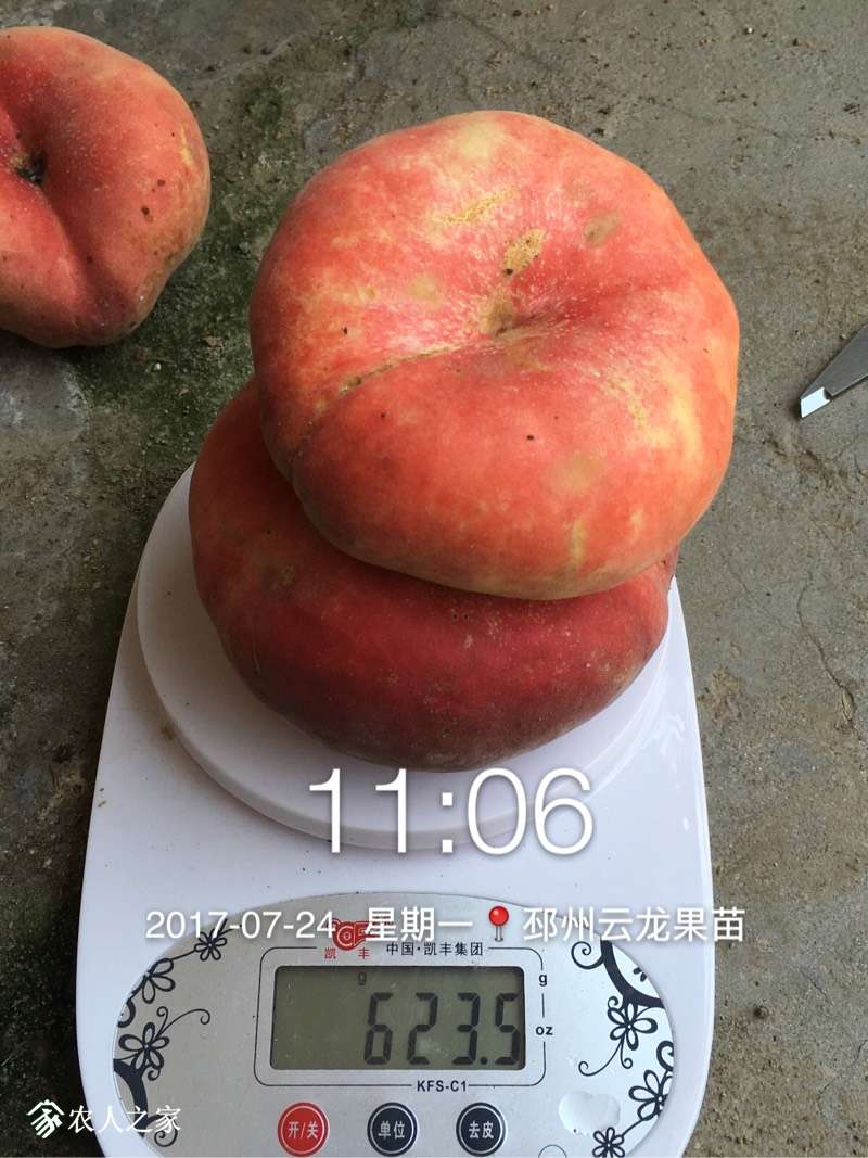060033ci81h8y7a4d8sip0.jpg