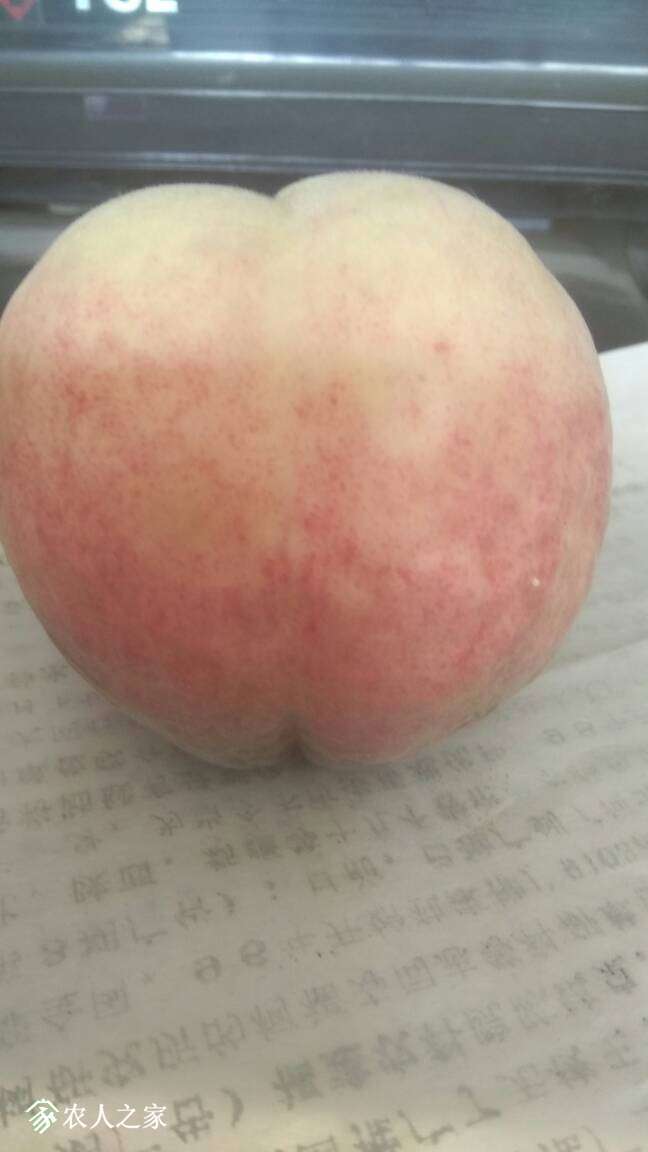 122200lkgkkkr4pjuy02c0.jpg