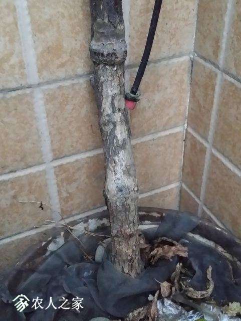 20171130_163537.jpg