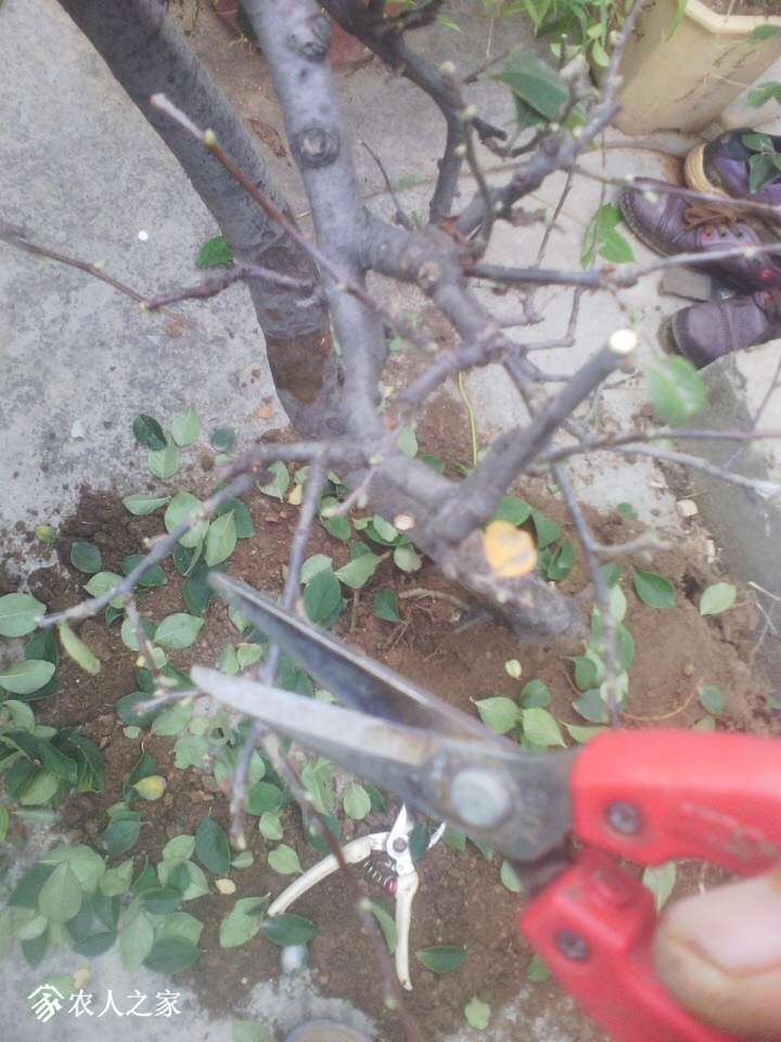 102515q557efaj0azu0gqa.jpg