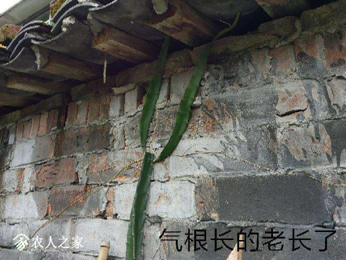 131317le4zd8dm9rhyecy0.jpg