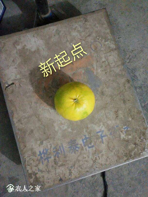 212812clmmrmubakmb0dmi.jpg