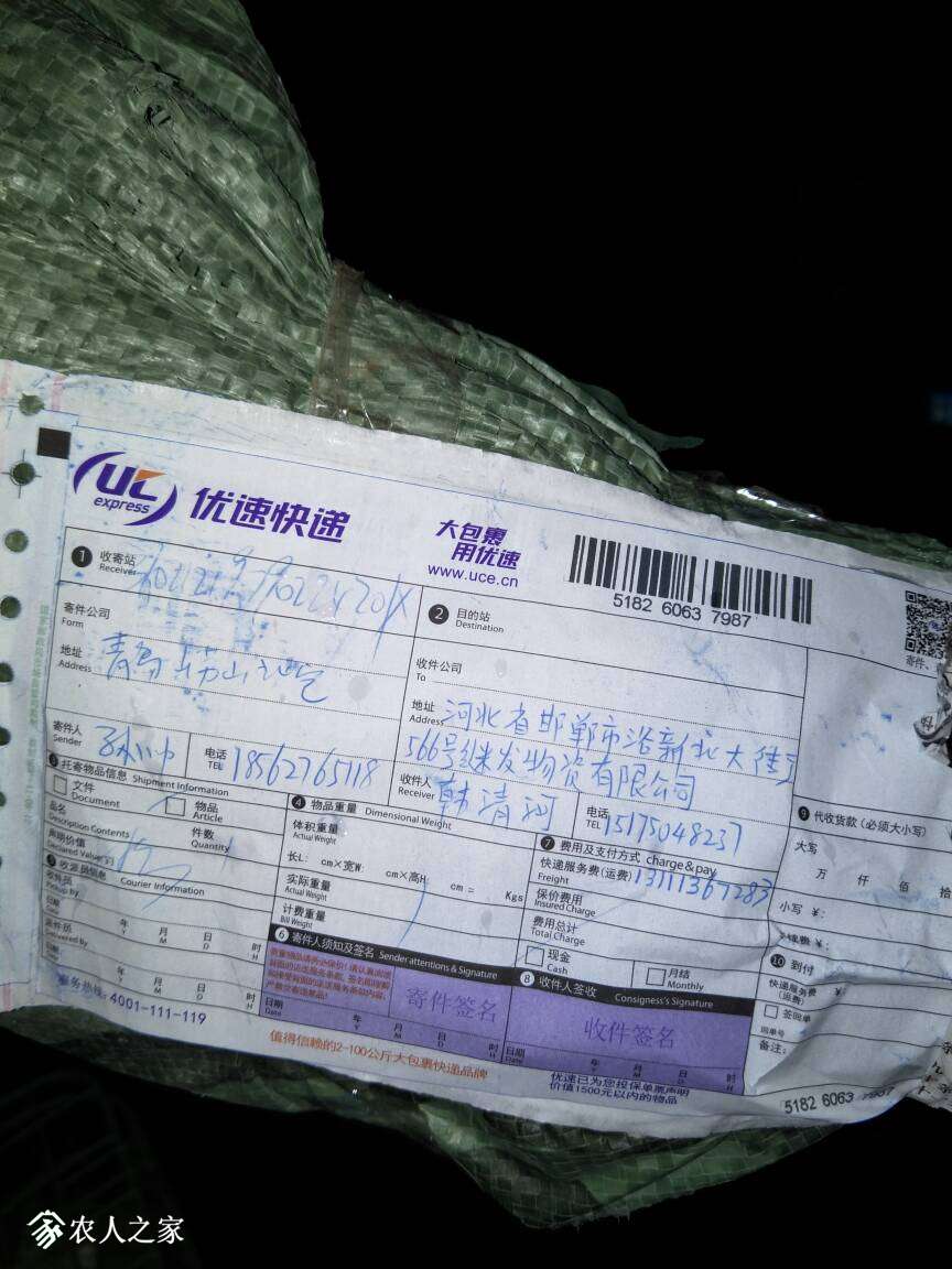 210123bpi3rb2iow32wnir.jpg