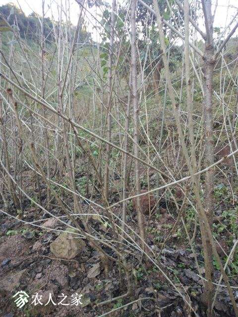IMG20171119164519.jpg