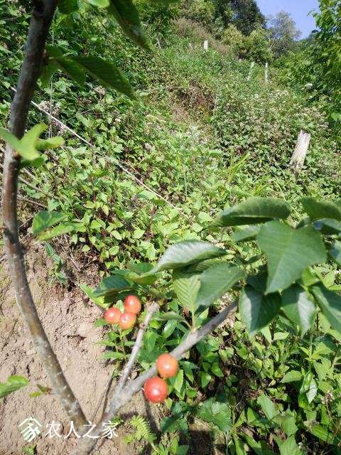 IMG20170507084433.jpg