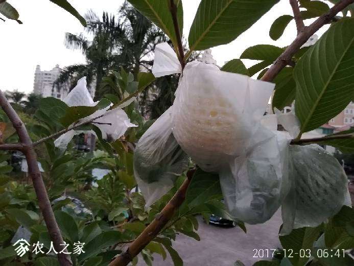072705eyxeytattzaf5e4y.jpg