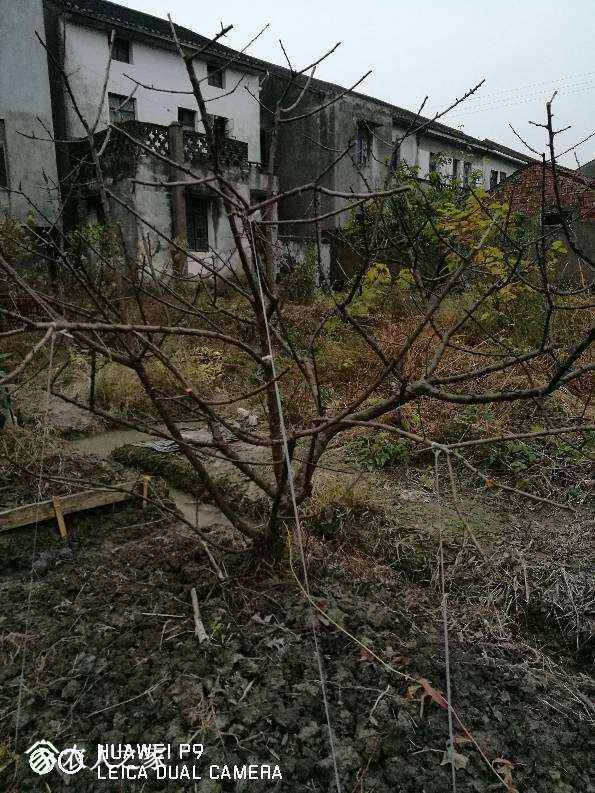 191138pl8usgcslzcplp7f.jpg