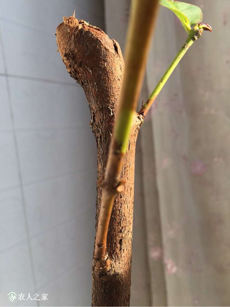 101928l5aitt56by5ui1bt.jpg