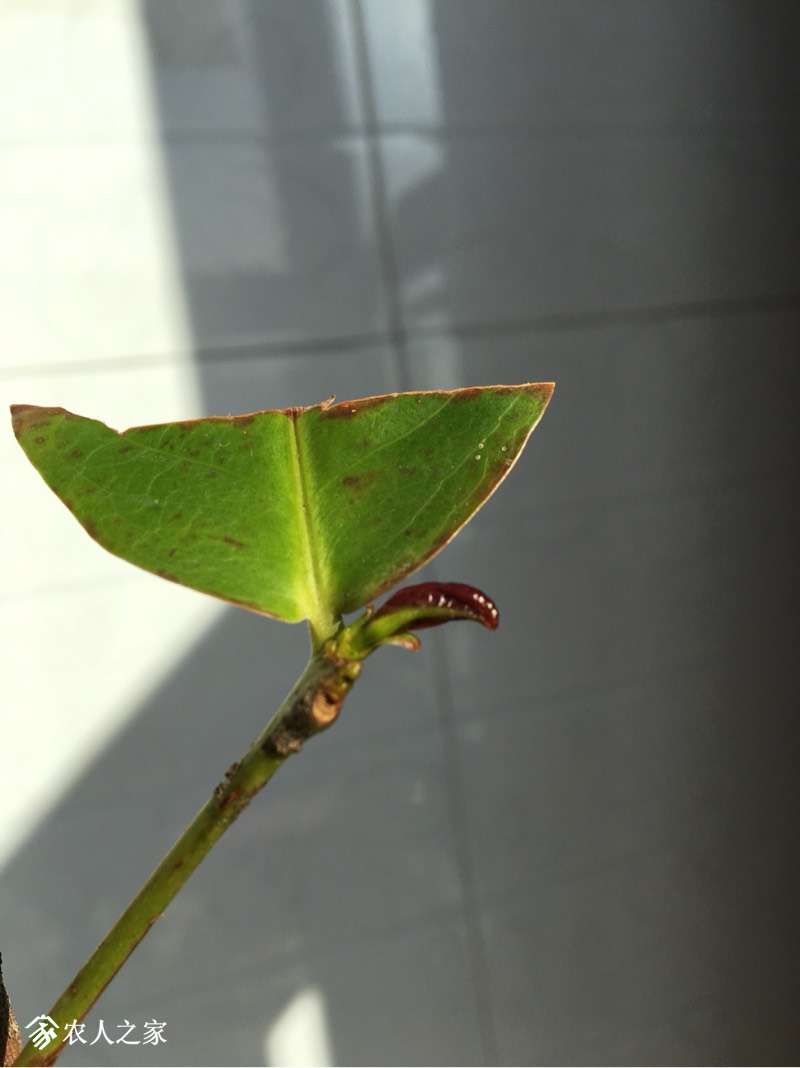 101928u5mm3o038b48ge8o.jpg