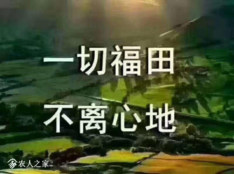 090300msbtxybbdobkn6kl.jpg