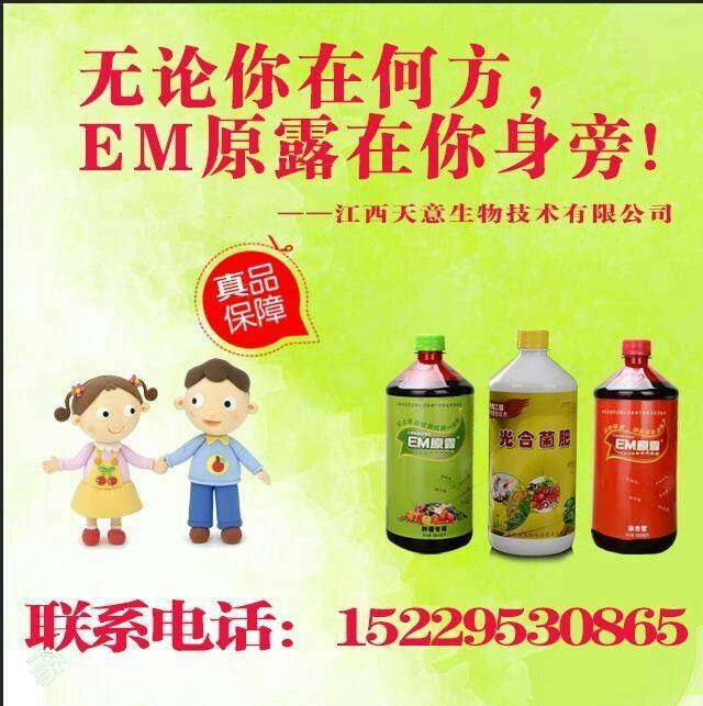104735lso9meqdsd03wmgf.jpg