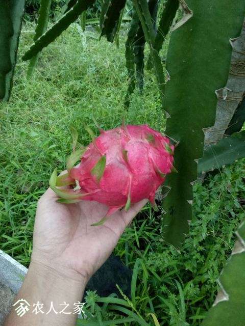 IMG20171024174737.jpg