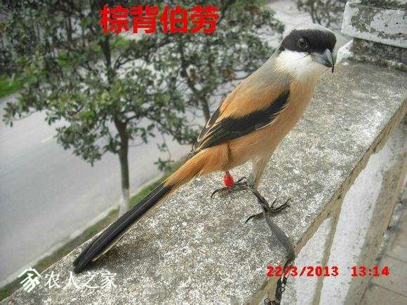 9fac4c6034a85edfedcec2b34b540923dc547578.jpg