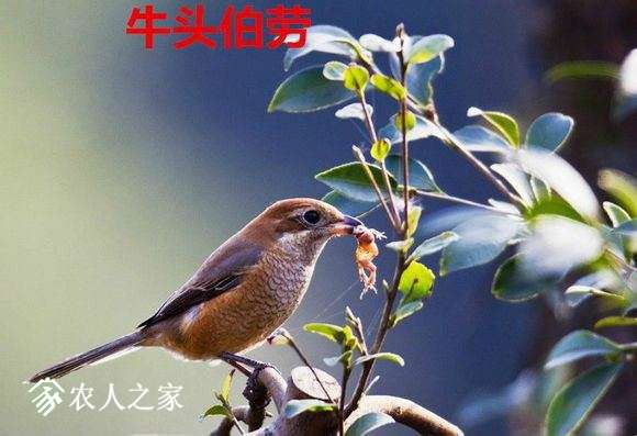 912ac0a20cf431adfe9a7fa94936acaf2fdd9876.jpg