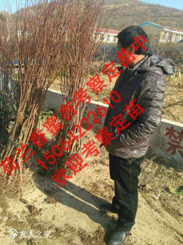 214041swhenmehaaf8byrk.jpg