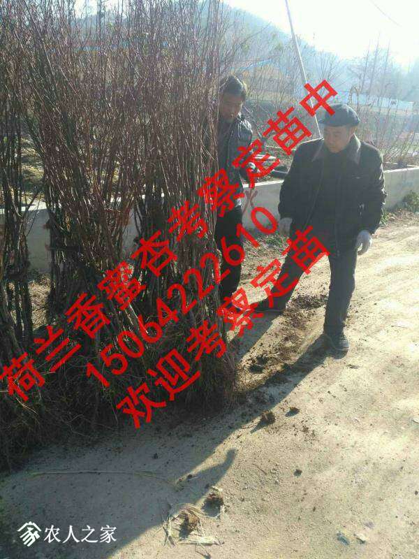 214234bd4vzkwwartzm72n.jpg