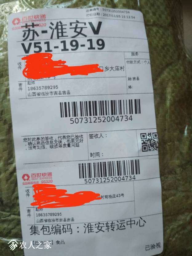 231505s5eeplwe22wjloop.jpg