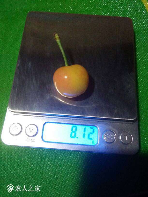 123053t3ht93qvz2ze9frz.jpg