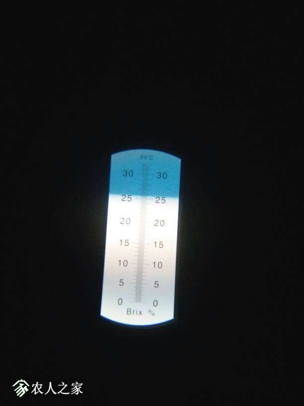 123053uff8uaf57gkhhj1g.jpg