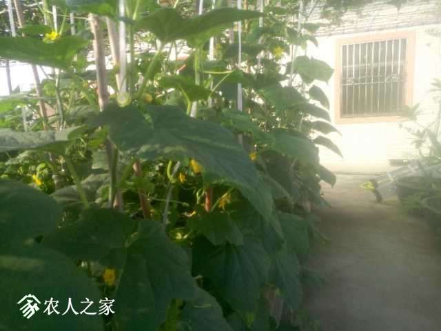 P71118-083416.jpg