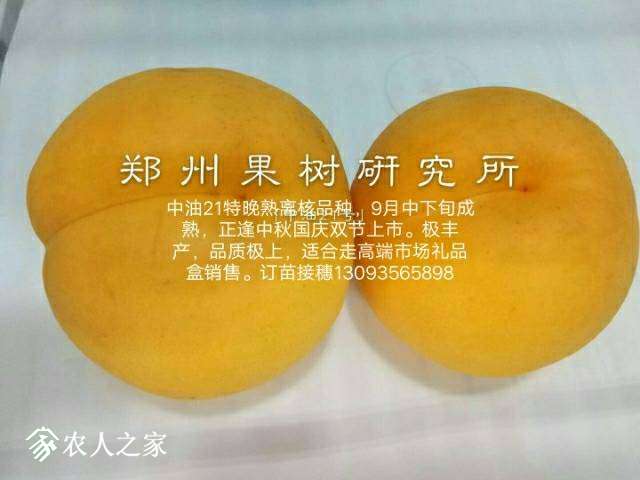 205624m6grww6w6g9wgsi5.jpg
