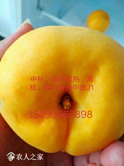 205624t3kl4yfzkpif3pip.JPG
