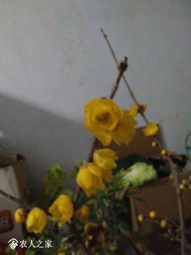 220639r0gz4zhaepaizz63.jpg
