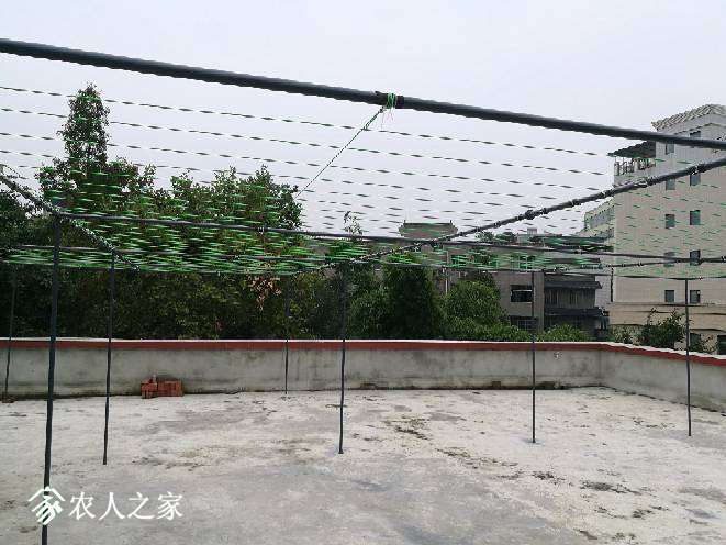 002348kho1riccuohgi4kt.jpg
