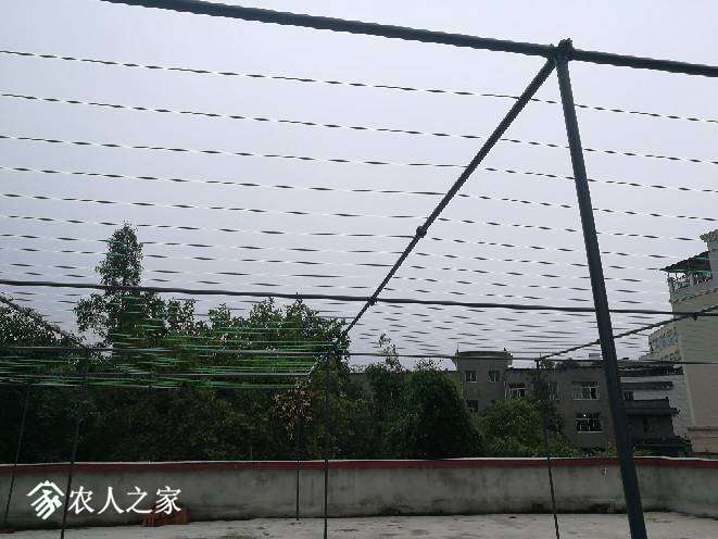 002348m4jmp52m0vjsd2v6.jpg