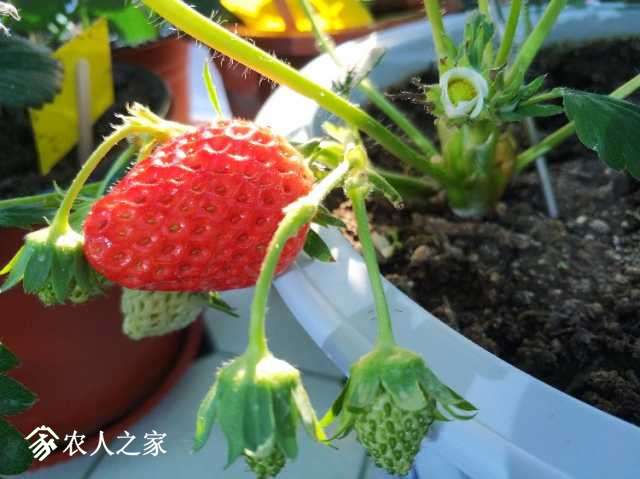 IMG_20171208_104606.jpg