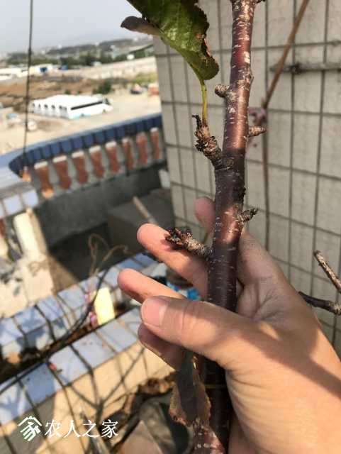 19EBAEDF-7120-4BC2-AEE2-FD51E8F1EEE3.jpeg
