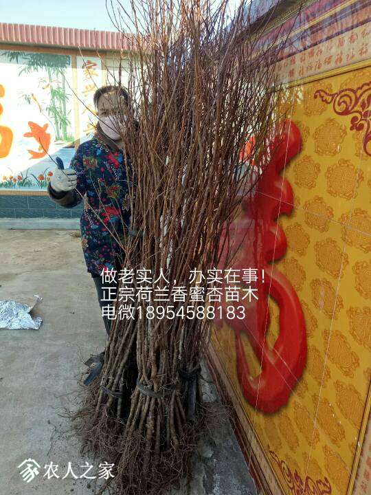 001607kuhe2rzv07c0eg6u.jpg