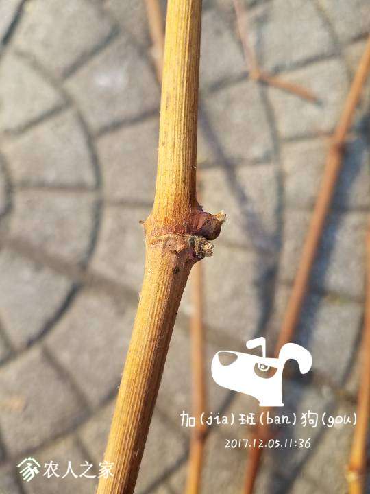 043302lsy9asfazk3iskft.jpg