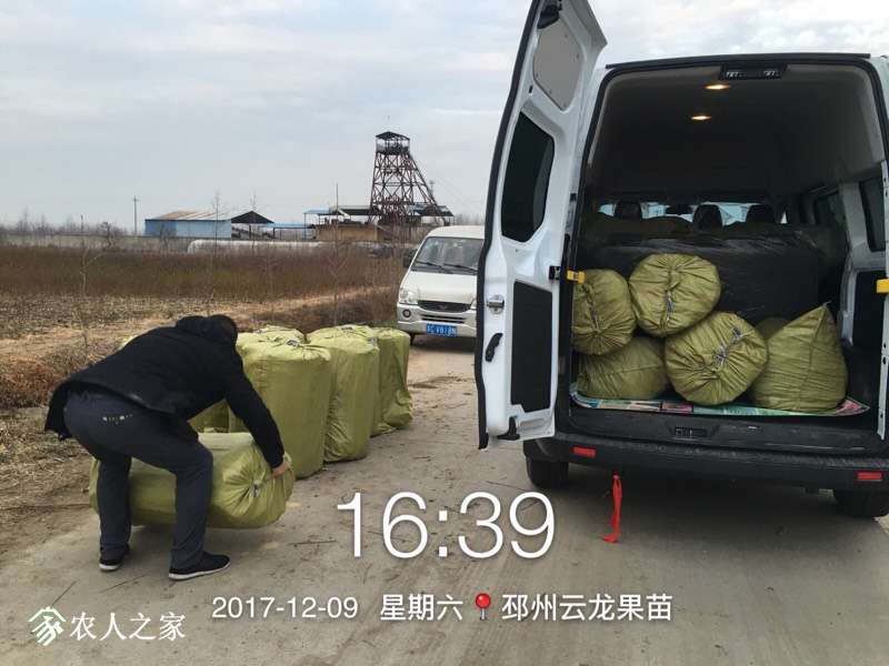 170224l8xpexep8p2zoeex.jpg