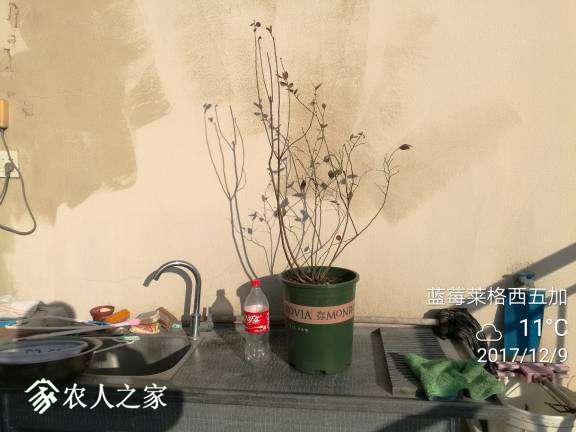 180707h7aa8fj69tmjnjmg.jpg