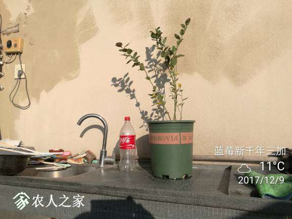 180708r38rfz1p8tmcfmzm.jpg