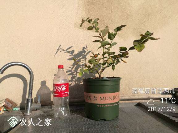 180710c43tsougg8diaimi.jpg