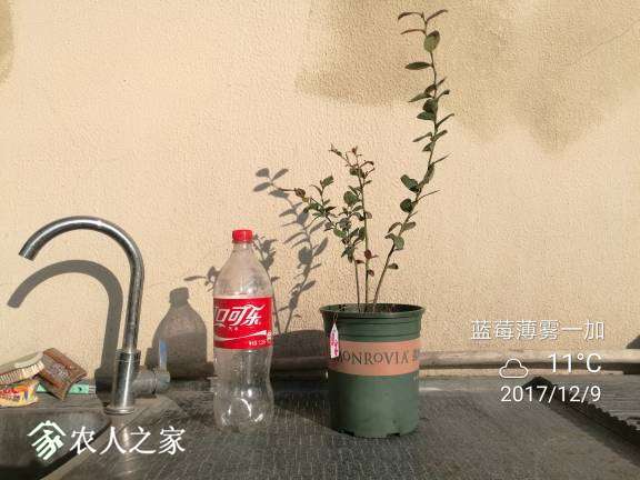 180710d05xtqpxk6z99yck.jpg