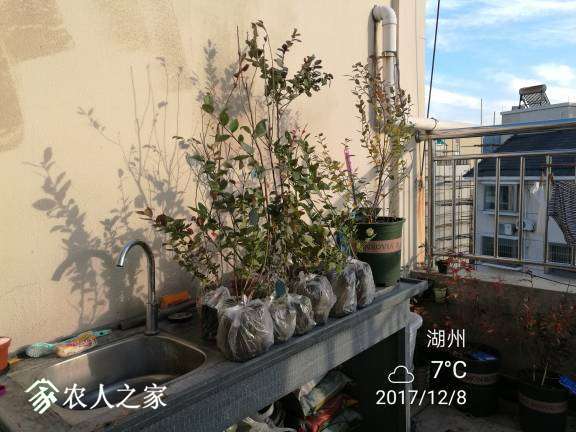 180711tlb4vemzrffjcr4l.jpg