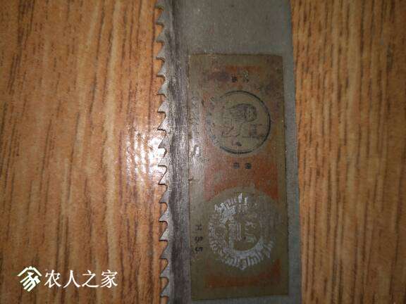 204349fa1txtgzrr3rv1gw.jpg