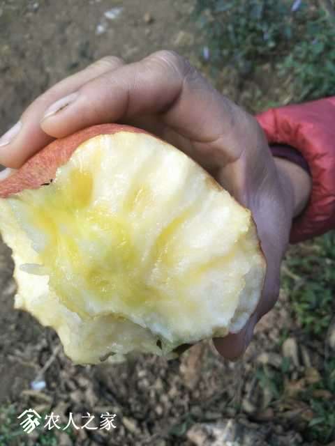 IMG20171107111048.jpg