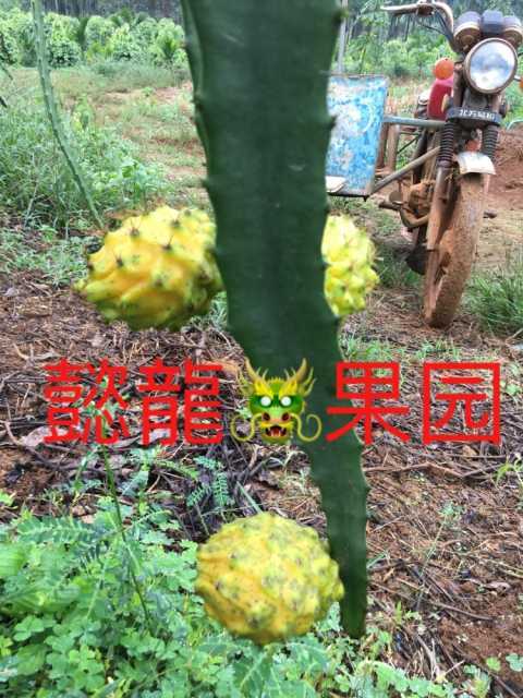 7E255B5A-24C3-431C-AB7F-5C9E924E88FC.jpeg