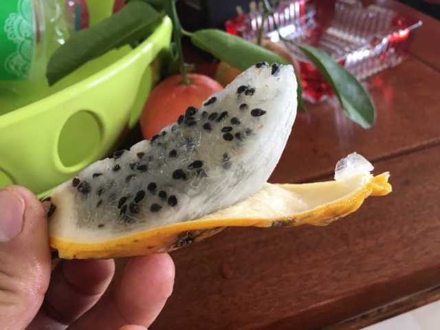 17EE1845-F975-4204-842D-2444753A50DF.jpeg
