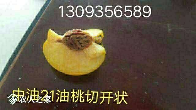 175941gbte1lyu1zuukahn.jpg