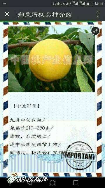 175941r9k95a15s5q15rb5.jpg
